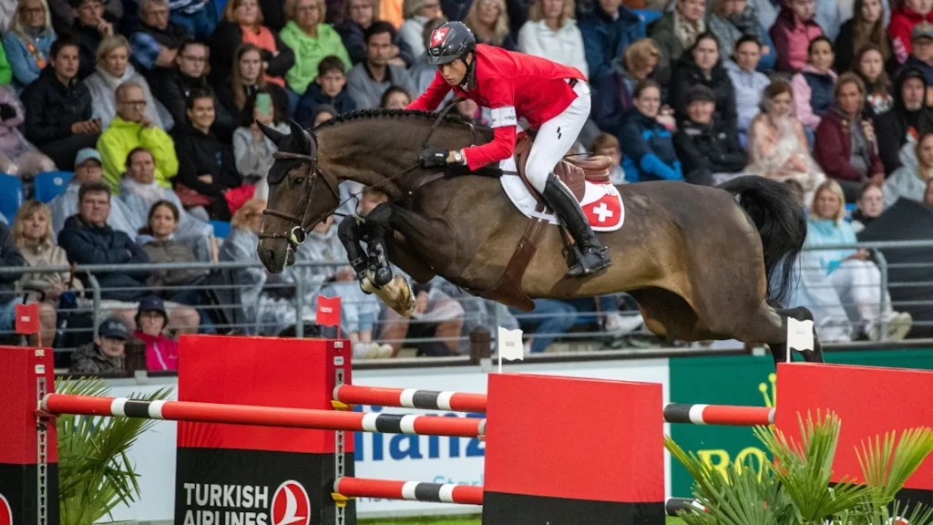 Springreiten: WM in Aachen - Schweiz verpasst Medaille, sichert sich aber das Olympia-Ticket